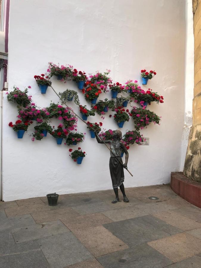 La Regaora Apartamento Córdoba Eksteriør bilde